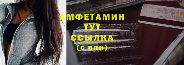 стаф Гусь-Хрустальный