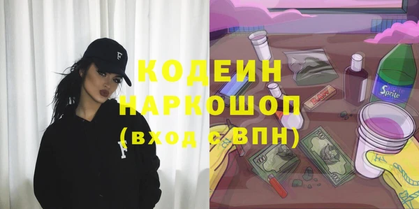 стаф Гусь-Хрустальный