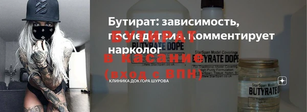стаф Гусь-Хрустальный